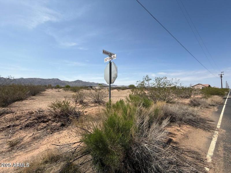 20250331001742789388000000-o