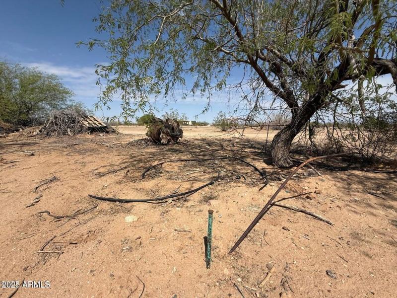 20250331001748207180000000-o