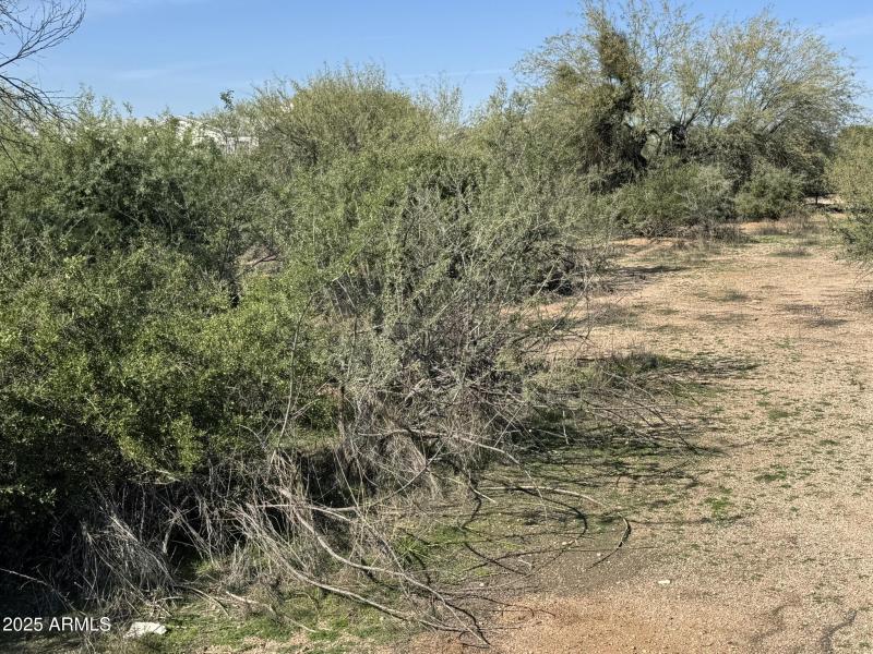 Close to Hiking and Biking