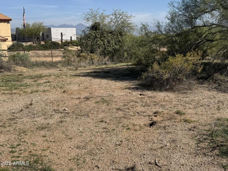 Space for Customization