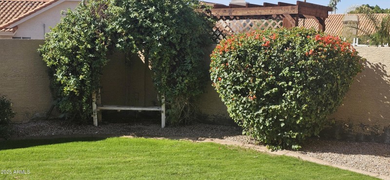 Lovely sitting area in backyard