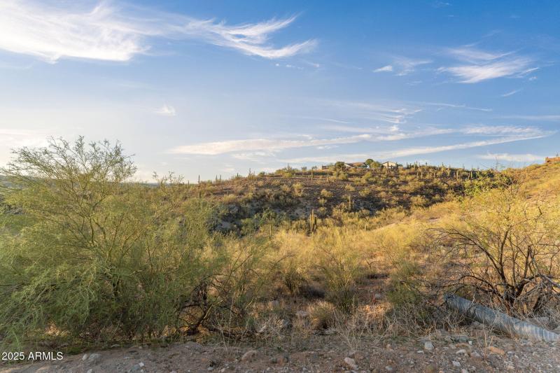 59-web-or-mls-DSC07241