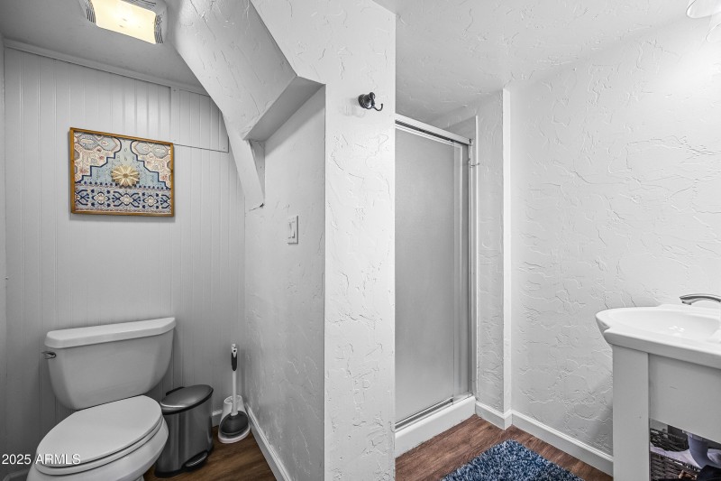 Lower Level Bathroom