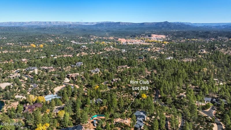 8_rim club lot 263 (1)