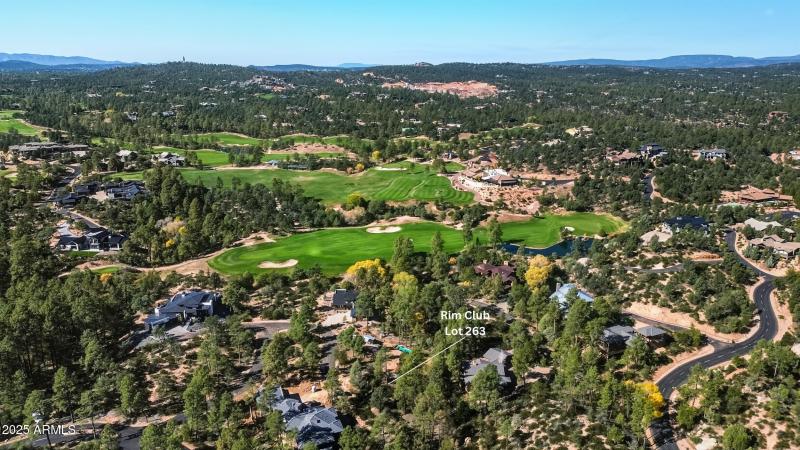 10_rim club lot 263 (3)