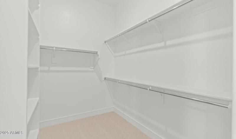Edgewood Estates Lot #79 Primary Closet