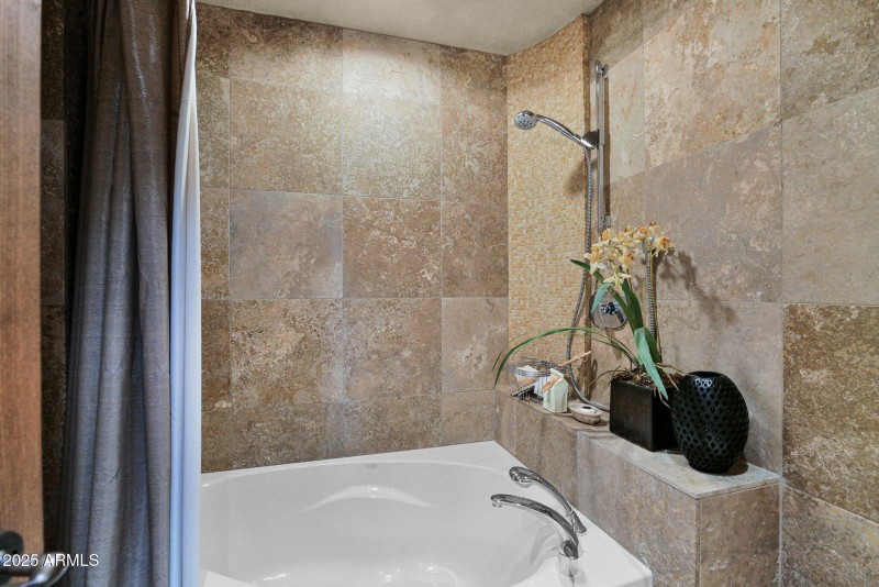 Guest room bath shower 1