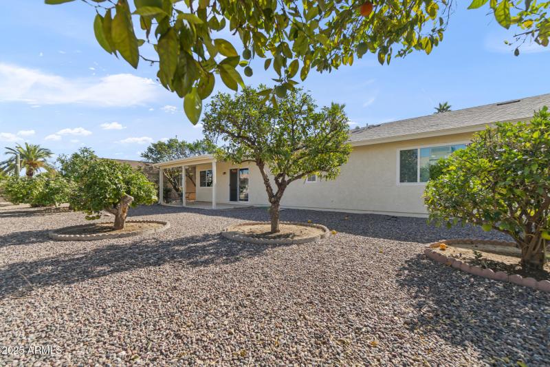 Lovely Backyard with Mature Citrus