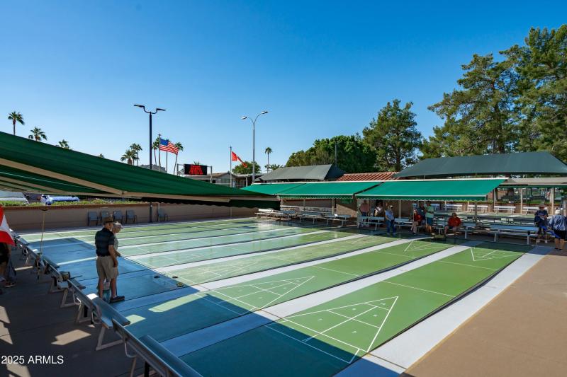 38-Community Shuffle Board