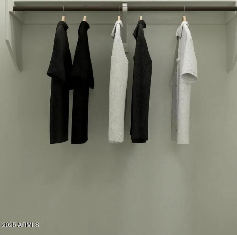 Owners Walk in Closet