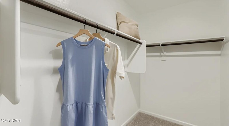 Owners Walk in Closet