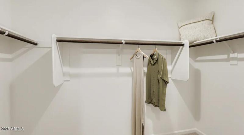 Owners Walk in Closet