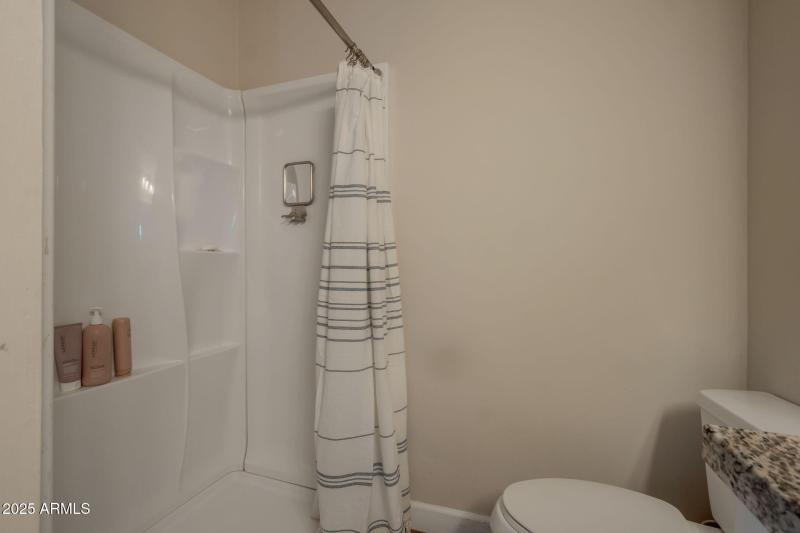 7-web-master bathroom shower 1