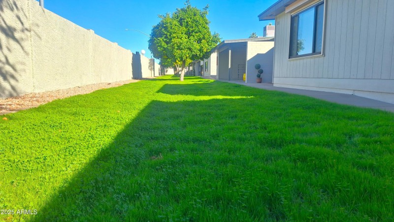 20251104_145339.jpg1