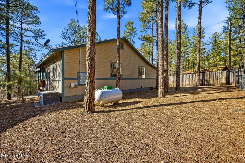 401 Cotton Tail Pinetop