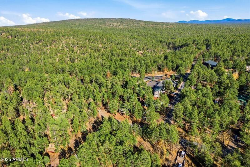 401SCottonTrailDr-PinetopLakeside-AZ-30