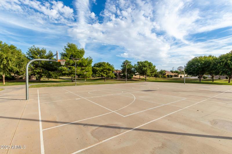 Basketball Court