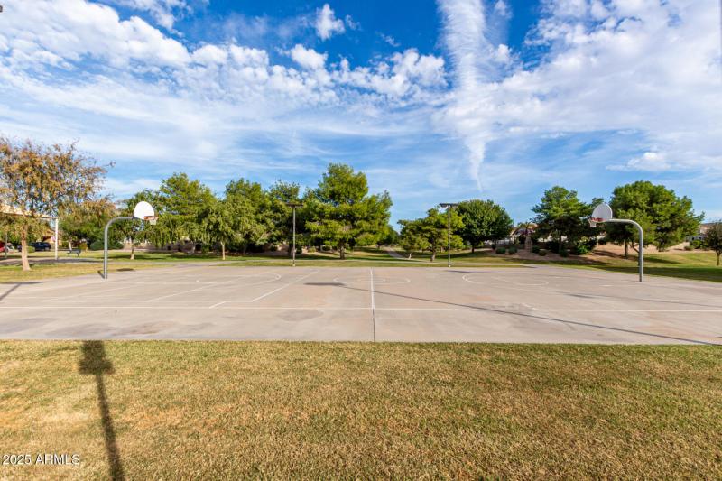 Basketball Court