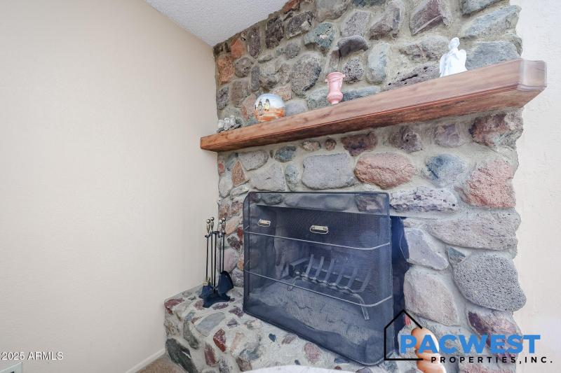 Family Room Fire Place