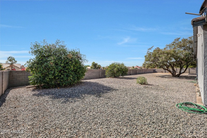 Low maintenance backyard