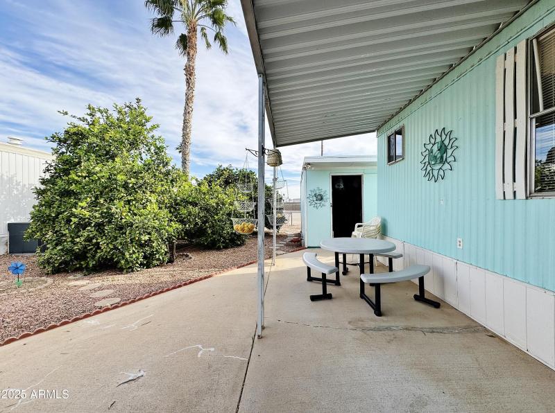 Patio & mature citrus trees