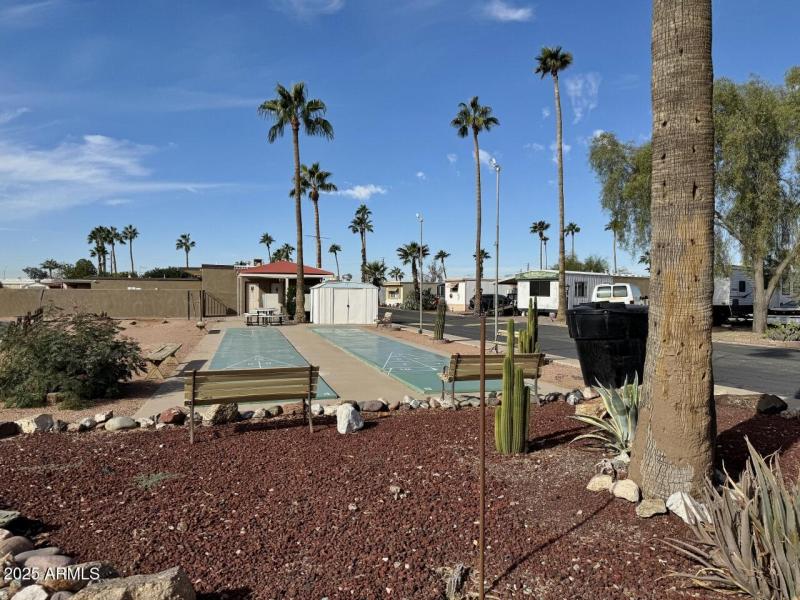 Shuffle board & community area