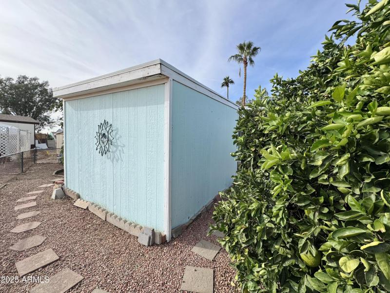 Back of shed and yard