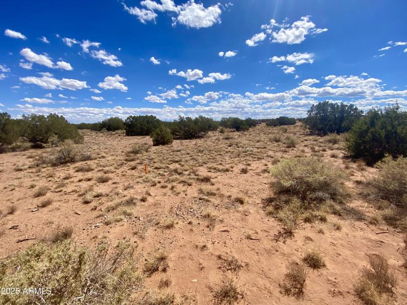 2) 65267-6915e70ae1282