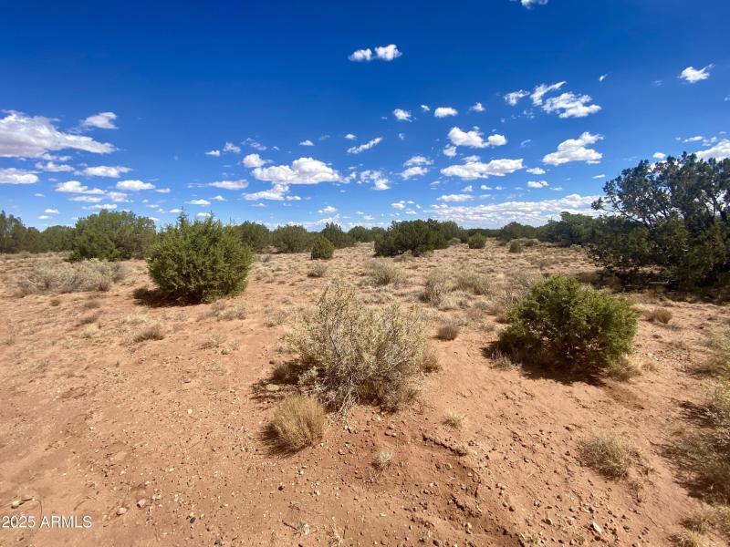 8) 65267-6915e713411cc