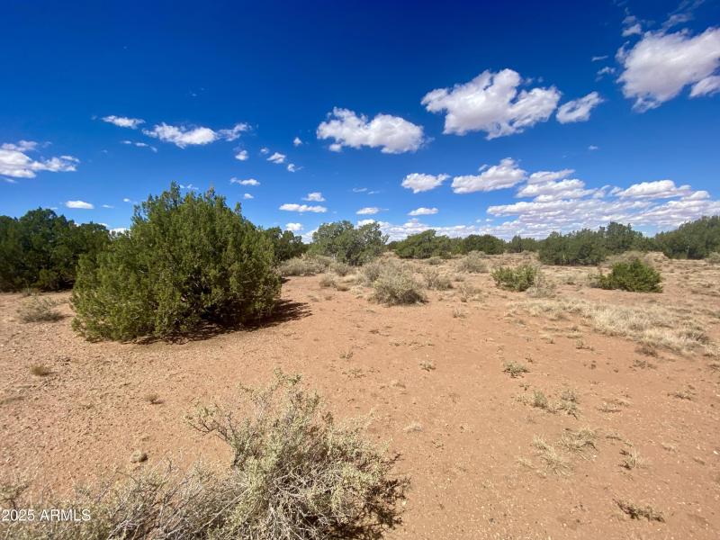 13) 65267-6915e718dabcc