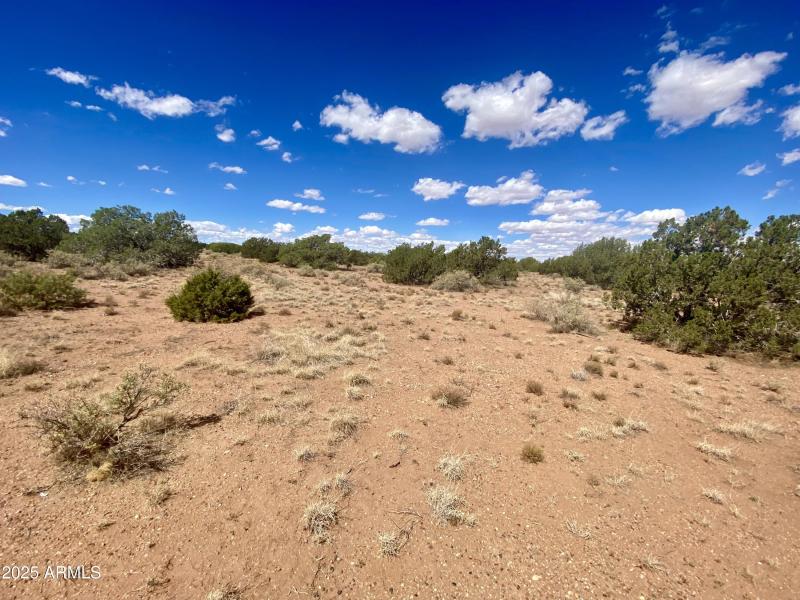 14) 65267-6915e71be5e5d