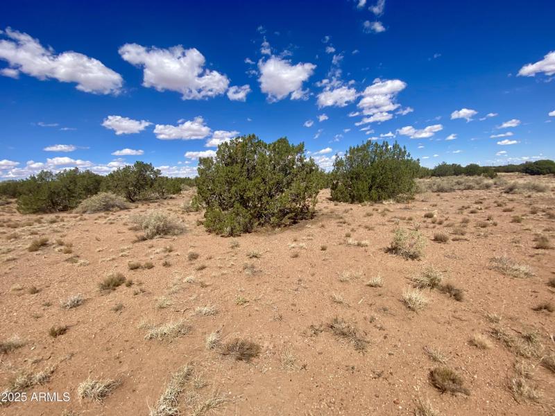 15) 65267-6915e71c3c0c5