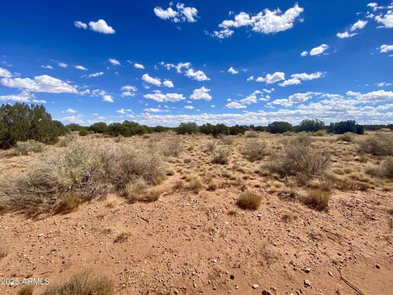 16) 65267-6915e71d3d07c