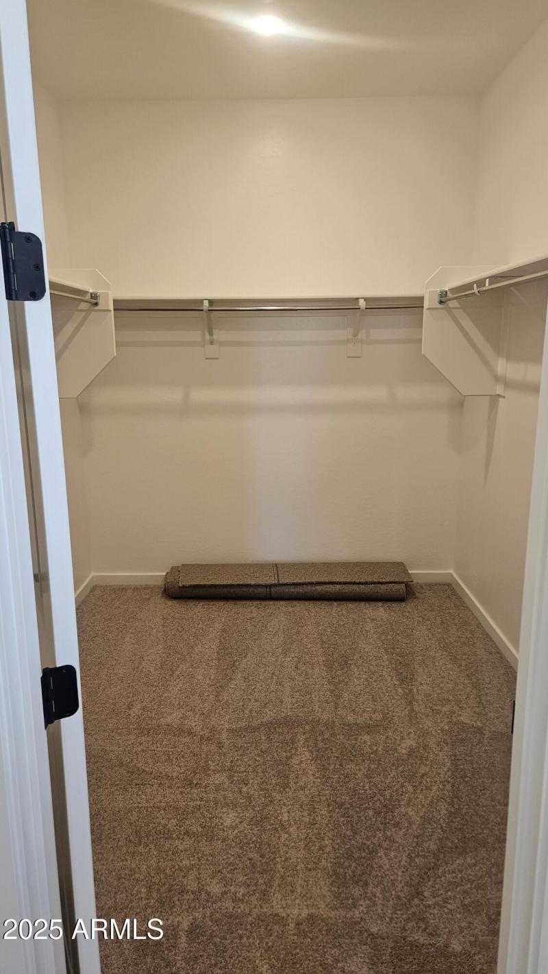 Mason Ranch II Lot 225 Primary Closet