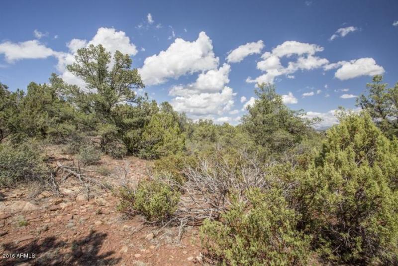 20160705230914991300000000-o[1]