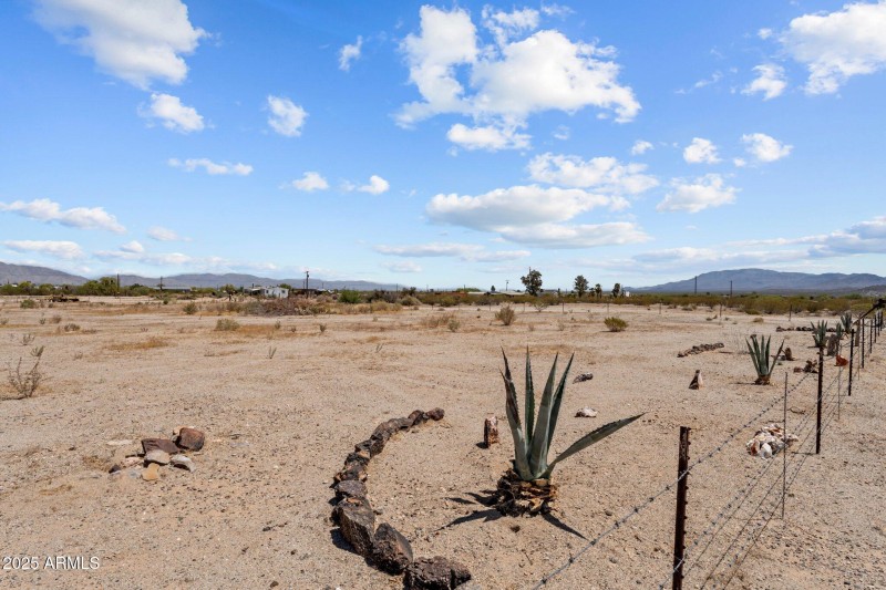 13-web-or-mls-DSC04574