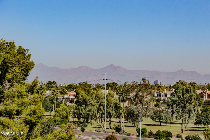 14 - VIEW TO THE MOUNTAINS