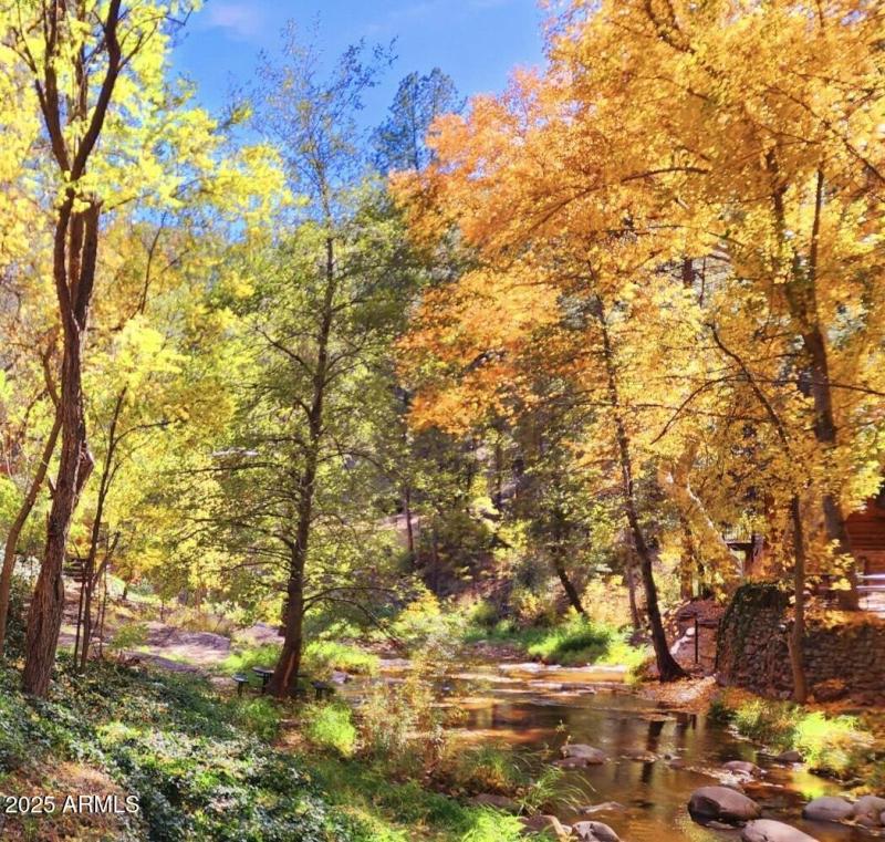 backyard autumn creek view