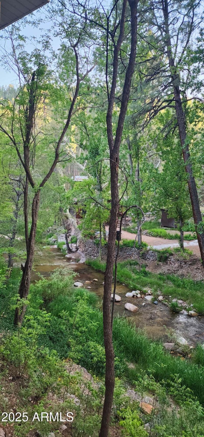 backyard creek view