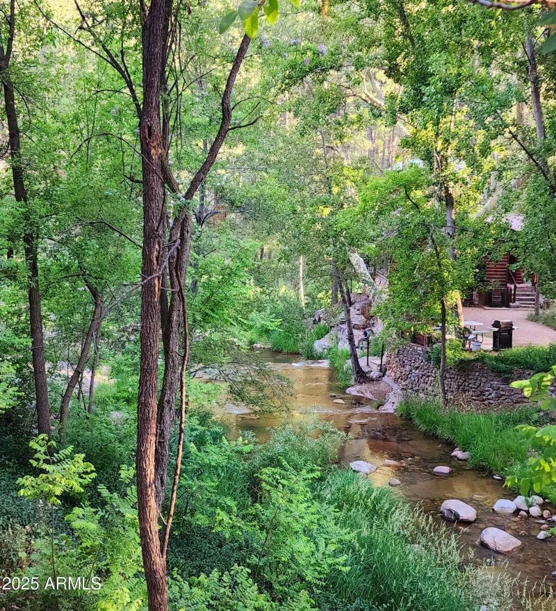 summer backyard creek