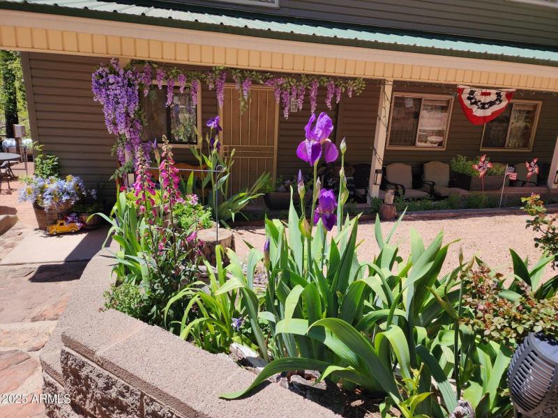 wisteria front porch