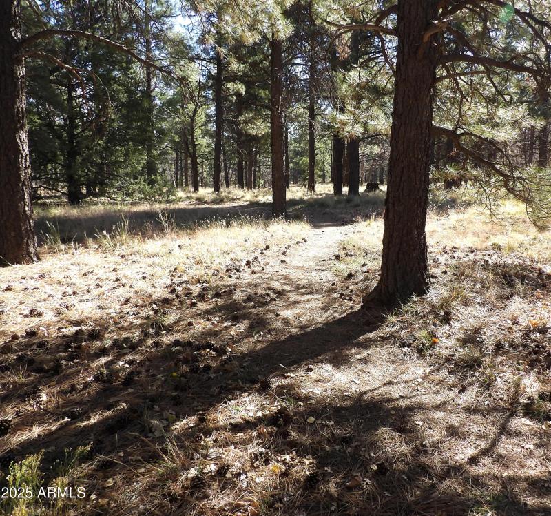 Trail onto State Trust Land