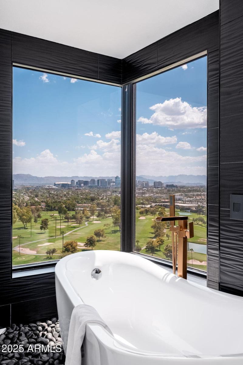 Primary Bathroom Tub View