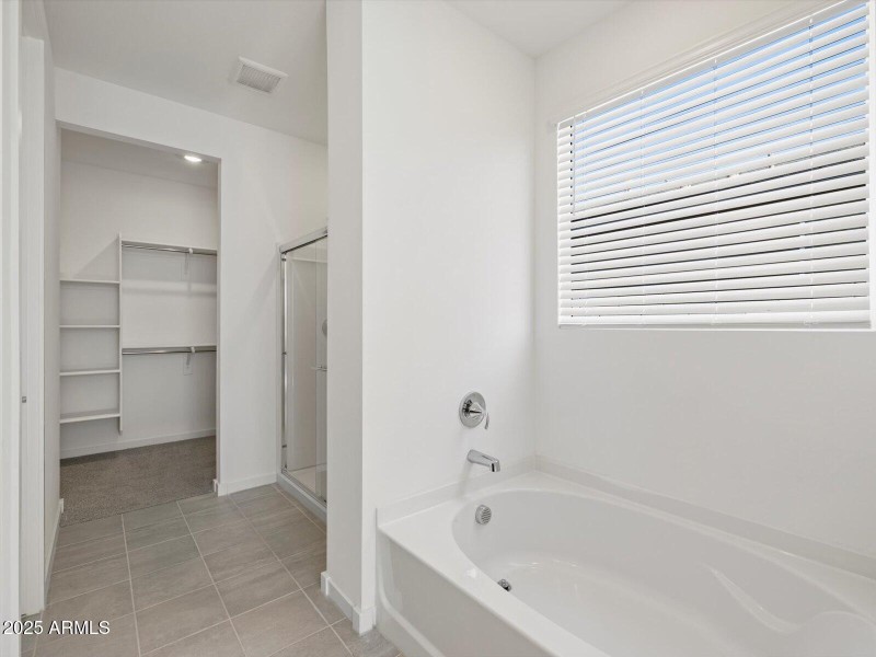 Primary Bathroom View 1