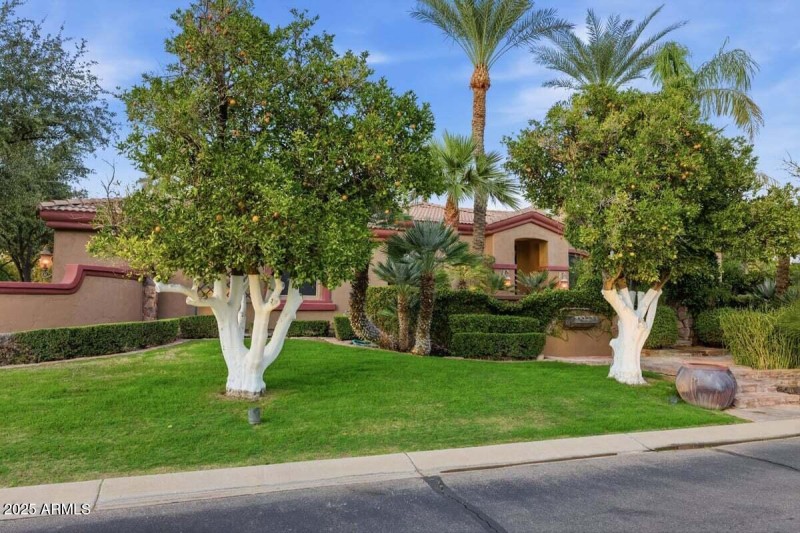 Re_edits_grass_replacement6