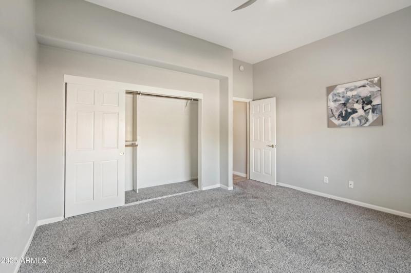 26-print-E Texas Ebony Dr-S1311-026