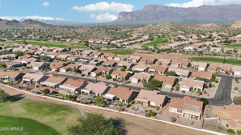 44-print-E Texas Ebony Dr-S1311-044