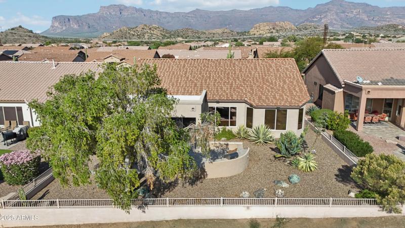 51-print-E Texas Ebony Dr-S1311-051