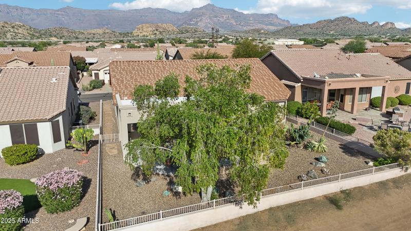 52-print-E Texas Ebony Dr-S1311-052