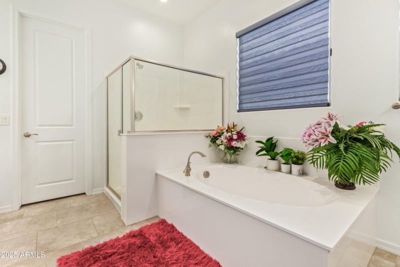 Master Bath w/ Large Walk In Closet